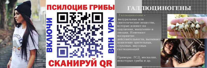 Псилоцибиновые грибы мицелий  blacksprut рабочий сайт  Кувандык 