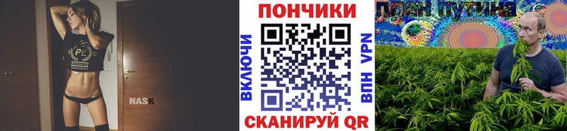 Каннабис гибрид  Кувандык 